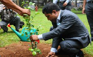 World Environment Day Observed in Shillong image