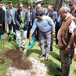 Shillong to hold India's first Cherry Blossom Festival soon
